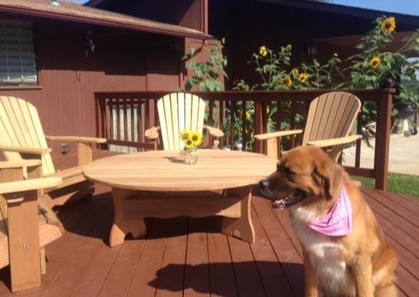 adirondack chairs and coffee table